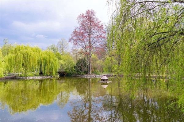 Stadtpark Steglitz