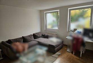 Wohn,- Esszimmer (Muster)