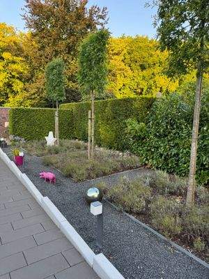 PHOTO-2025-08-13-07-44-25 2.jpg