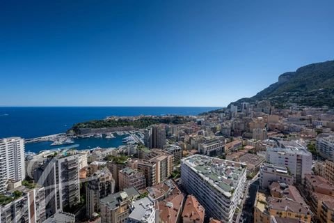 Monaco Wohnungen, Monaco Wohnung mieten