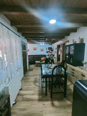 photo1696515654 (4).jpeg