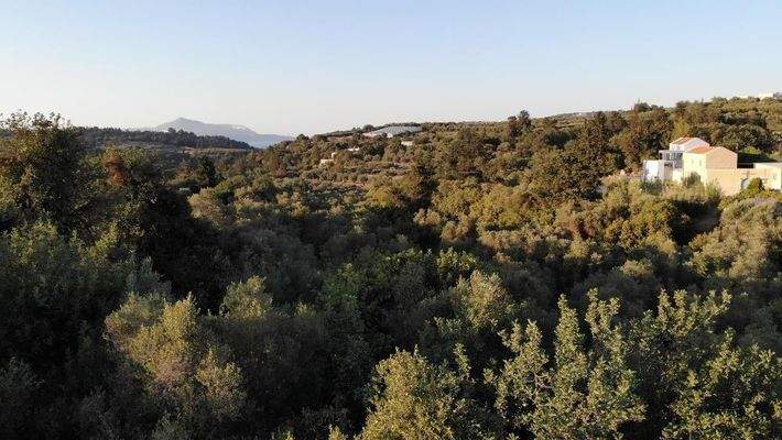 Kreta, Neo Chorio: Charmantes Baugrundstück mit Olivenbäumen und Panoramablick im Apokoronas zu verkaufen