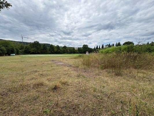 Grundstückansicht aus Osten