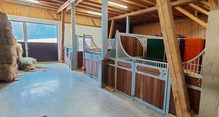 Pfredestall 3 Boxen
