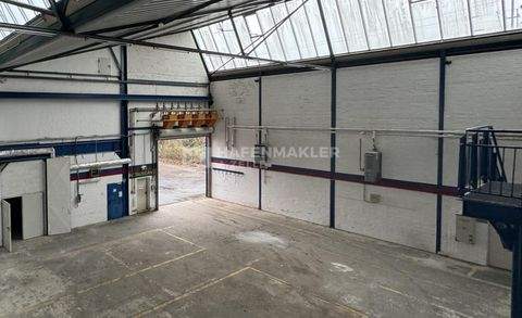 Hamburg Halle, Hamburg Hallenfläche