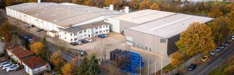 Kassel Halle, Kassel Hallenfläche