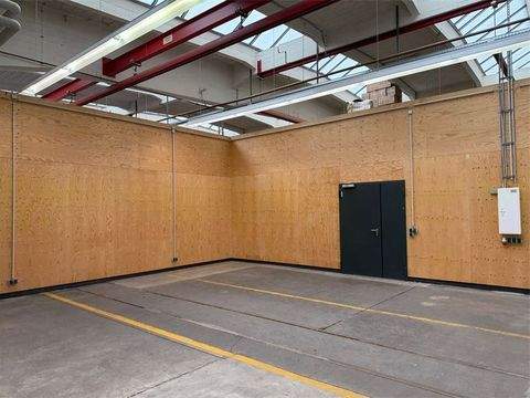 Berlin Halle, Berlin Hallenfläche