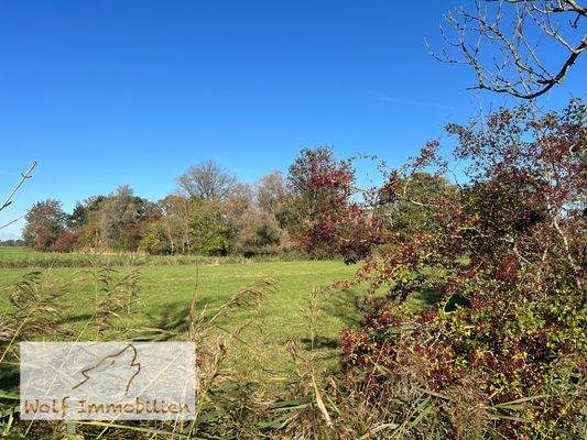 Ruhige uneinsehbare Alleinlage