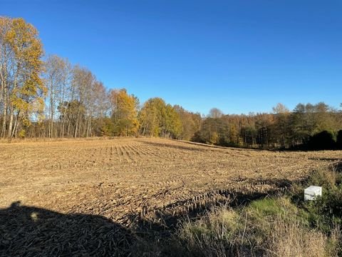 Bärnau Bauernhöfe, Landwirtschaft, Bärnau Forstwirtschaft