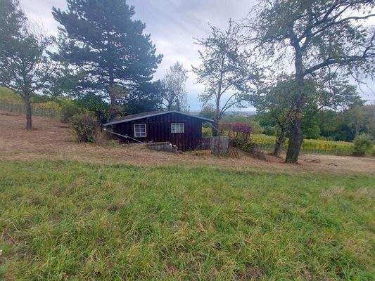 Westansicht der "Almhütte"