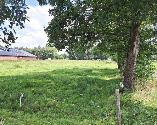 Vordere Weide (links).jpg