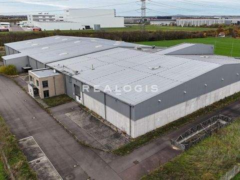 Landsberg Halle, Landsberg Hallenfläche