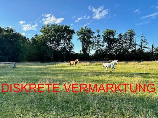 Weide - diskrete Vermarktung