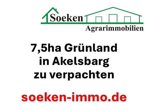 Großefehn Bauernhöfe, Landwirtschaft, Großefehn Forstwirtschaft