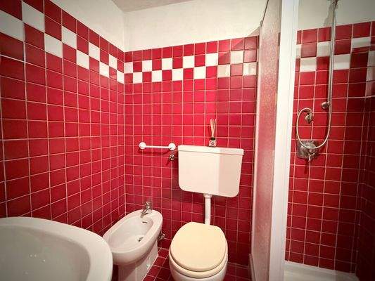 AT994_14 TERRA ITALIA IMMOBILIEN__TRIORA_VALLE ARG