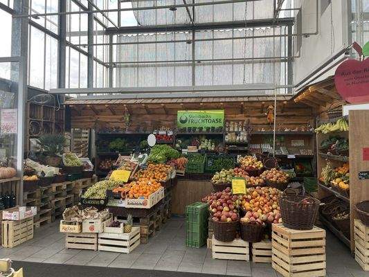 Bild Obst und Gemüse Fläche.jpg