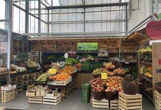 Bild Obst und Gemüse Fläche.jpg