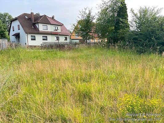 Blick vom Grundstück in Richtung Norden