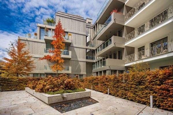 Schön angelegter Patiogarten