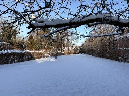 Impression Winterwonderland