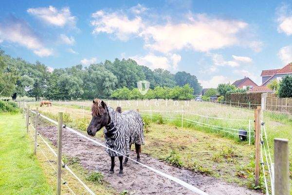 **Pferdeweiden_KBR_393