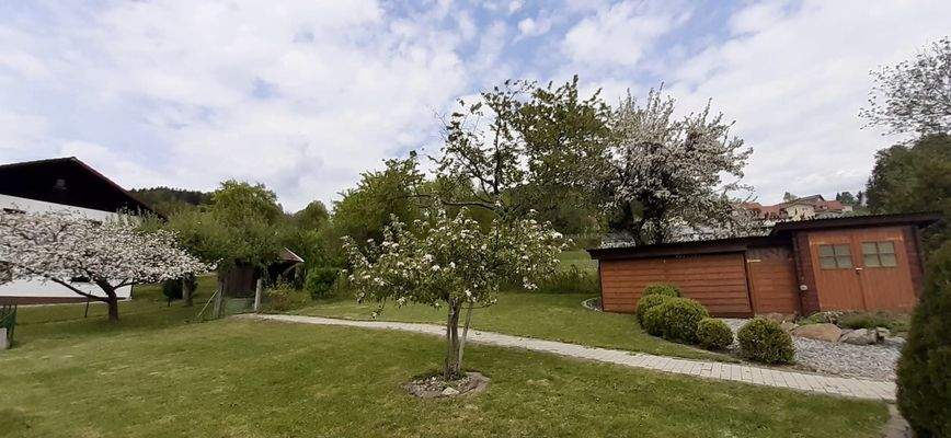 Obstgarten/Baulücke