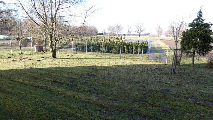 Schlafzimmer - Ausblick zur Baumschule Kmetsch