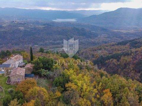 Motovun Bauernhöfe, Landwirtschaft, Motovun Forstwirtschaft