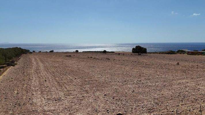Kreta, Skaloti: Großes Baugrundstück mit Meer- und Bergblick an der Südküste