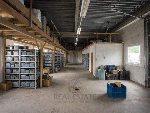 Barsbüttel Halle, Barsbüttel Hallenfläche