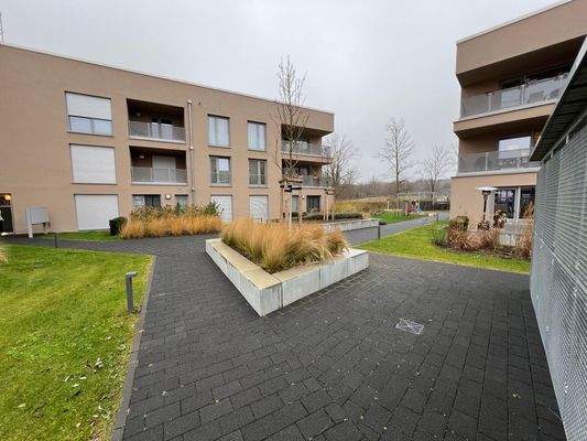 Groß (IMG_1565).jpeg