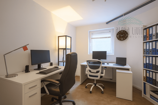 Room 2 (basement) Visualization of furnishing idea 