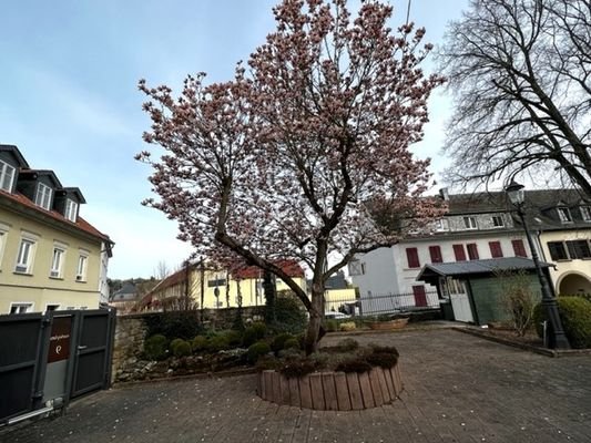 Innenhof 2