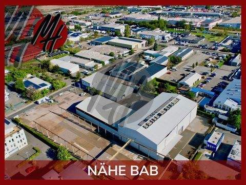 Pfungstadt Halle, Pfungstadt Hallenfläche