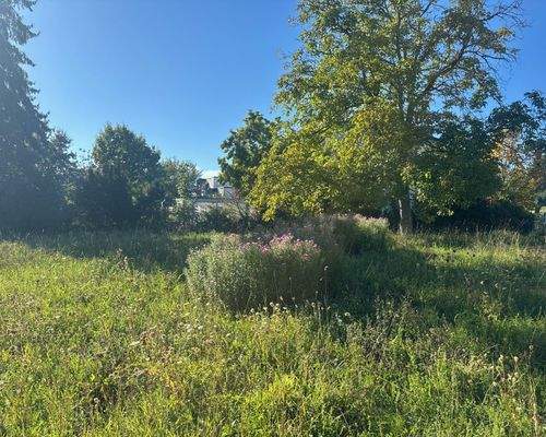 Baugrundstück in Konstanz