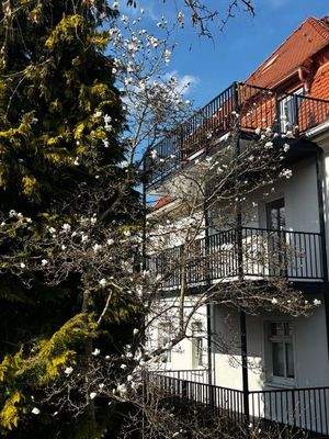 Ansicht Hausrückseite