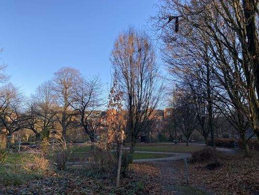 Park mit Spielplatz vis à vis