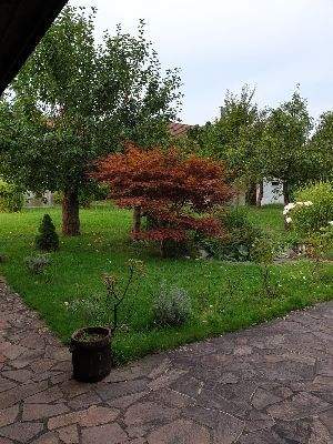 Garten 8.jpg