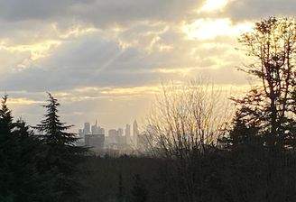 Blumenauer(c)- Titel