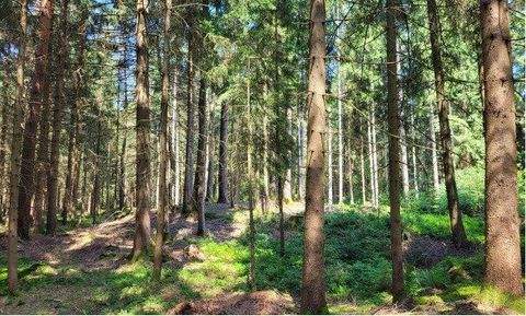 Teisendorf Renditeobjekte, Mehrfamilienhäuser, Geschäftshäuser, Kapitalanlage