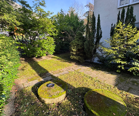 Gemeinschaftsgarten (1)
