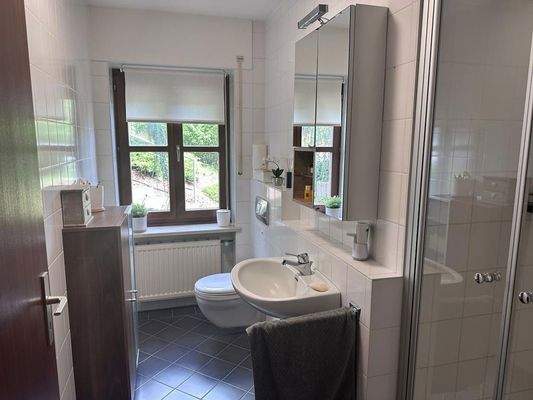 Einliegerwohnung Duschbad