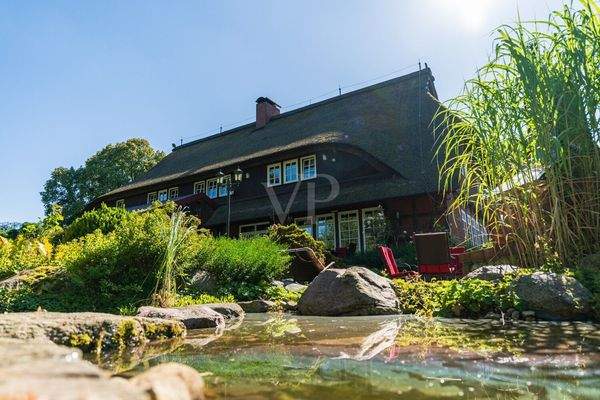 GARTENTEICH | WASSERLAUF