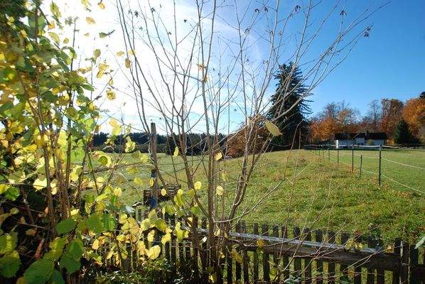 Freier Blick nach Süden