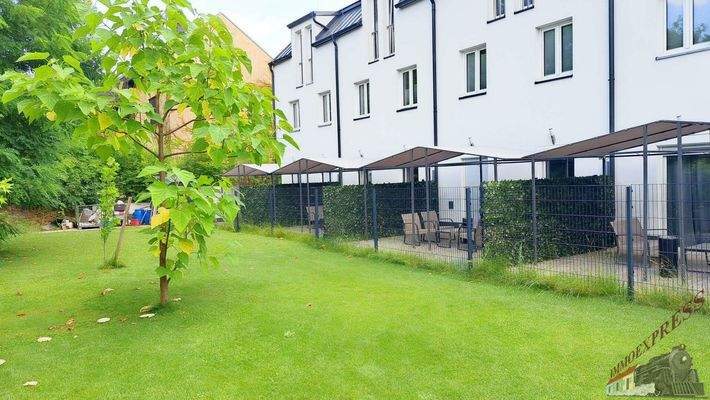 20240623_134232_resized_DxO