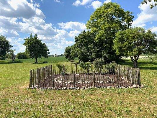 Gemüsegarten mit Gemüsegarten mit einem Staketen