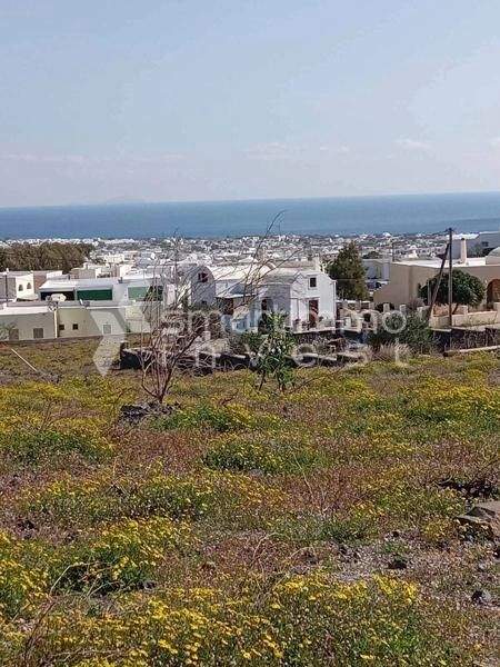 Emporio, Santorini - Thira Bauernhöfe, Landwirtschaft, Emporio, Santorini - Thira Forstwirtschaft