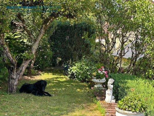 Garten Ebene Gartenhütte