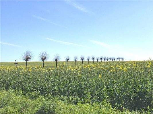 036 Hinterland Usedom