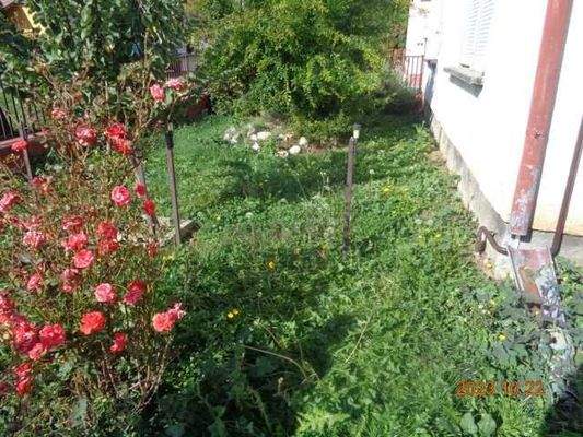 Grundstück vor dem Haus